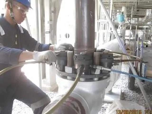 Bolting dan Flange Integrity